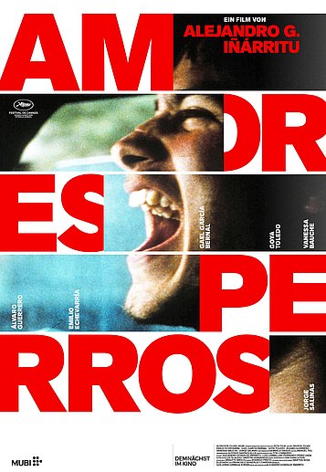 Filmplakat des Films AMORES PERROS OMU FREAKY FRIDAY