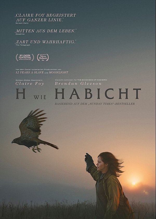 Filmplakat des Films H WIE HABICHT